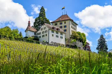 Gelfingen, Schloss Heidegg, Hitzkirch, Weinberg, Rosengarten, Schlosspark, Kapelle, Baldeggersee,...