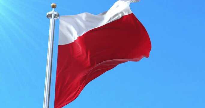 Lausanne Flag, Switzerland. Loop