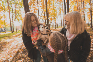 Mother and grandmother and daughter holds jack russell terrier and plays with it in autumn outside. Pet and family concept