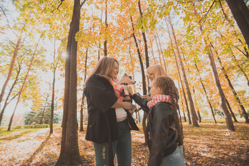 Mother and grandmother and daughter holds jack russell terrier and plays with it in autumn outside. Pet and family concept