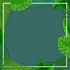 Fototapeta na wymiar Square frame with tropical green leaves