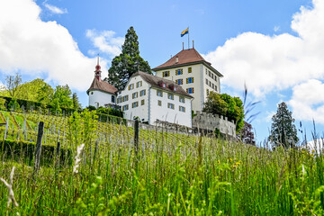 Gelfingen, Schloss Heidegg, Hitzkirch, Weinberg, Rosengarten, Schlosspark, Kapelle, Baldeggersee, Seetal, Wanderweg, Landwirtschaft, Spazierweg, Frühling, Luzern, Schweiz