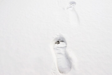 Fototapeta premium How to walk in the snow without leaving marks from your boots or sneakers