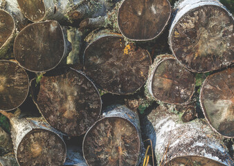 abstract natural background. Birch logs close-up.sawed ends of a pile of birch firewod