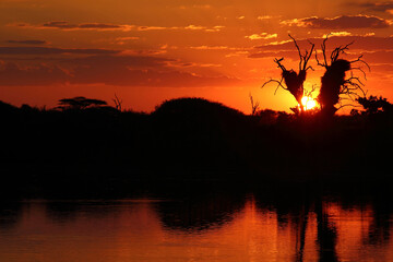 Obraz na płótnie Canvas Sonnenuntergang Krüger Park - Sunset Dam / Sundown Kruger Park - Sunset Dam /