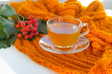 Green tea in a transparent cup and saucer on a white wooden background with red mountain ash and an orange scarf. Autumn mood