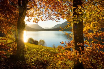 Bäume am See und Berge mit Laub im Herbst