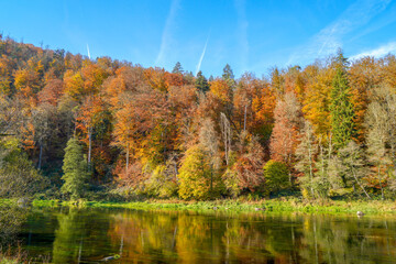 The rain is a tributary of the Danube and flows through the Bavarian Forest, photographed in autumn
