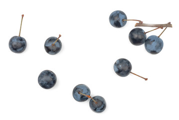 Blackthorn fruits isolated on a white background, top view