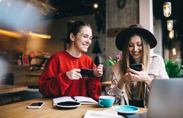 Cheerful woman browsing social media in cafe