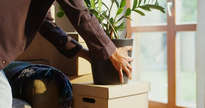 A man puts pot with a houseplant on the boxes, collecting things for the move