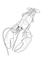 Hand Drawn Lobster Illustration. Sketch styles, isolated on white background