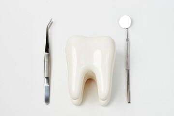 Dental tooth model with dentistry equipment tools
