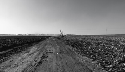 the road between the two fields is black and white