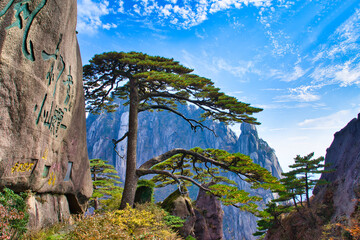 De uitnodigende pijnboom bij de ingang van Huangshan National Park. Landschap van Mount Huangshan (gele berg). UNESCO werelderfgoed. Anhui-provincie, China.