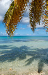 Fototapeta na wymiar Beautiful seascape. Saona Island and the Caribbean Sea.