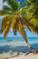 Beautiful seascape. Saona Island and the Caribbean Sea.