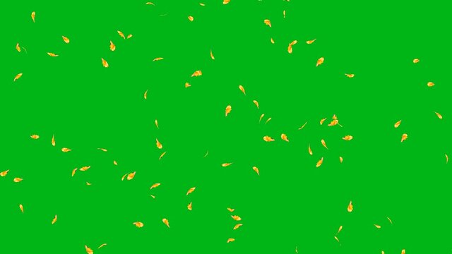 A 4K of autumn leaves falling on green background