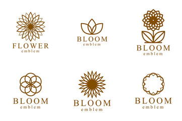 Beautiful geometric flower logos vector linear designs set, sacred geometry line drawing emblems or symbols collection, blossoming flower hotel or boutique or jewelry logotypes.