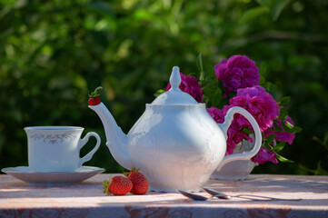 still life in the morning garden with white teapot, cup, strawberries and purple roses