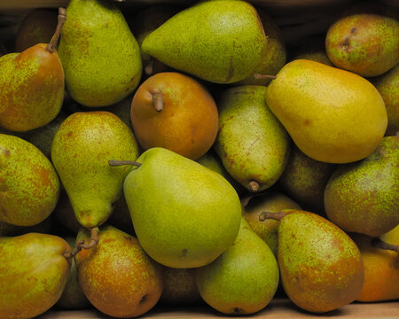 1 532 件の最適な 洋ナシ 画像 ストック写真 ベクター Adobe Stock