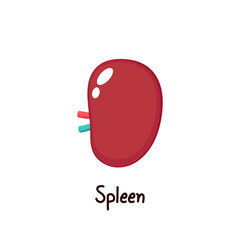 Spleen icon. Human spleen isolated on white background vector. Human organ illustration. internal organs. - obrazy, fototapety, plakaty