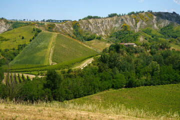 Rural landscape on the hills near  Riolo Terme and Brisighella