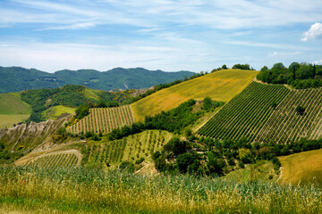 Rural landscape on the hills near Imola and Riolo Terme © Claudio Colombo