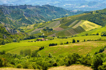 Rural landscape on the hills near Imola and Riolo Terme