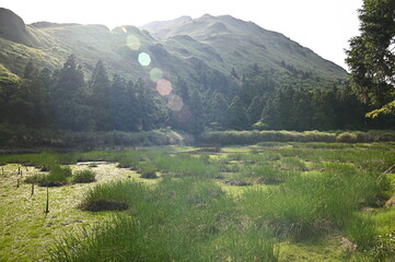 Obraz premium Quiet afternoon in Menghuan Pond Ecological Protected Area. The pool grows Isoetes taiwanensis. 