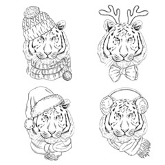 A set of hand-drawn portraits of a tiger in knitted, Christmas hats and scarves. Vintage vector illustration. New Year and Christmas illustration.