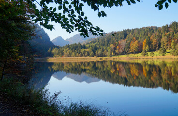 Fototapeta premium a scenic view of emerald-green lake Alatsee on a fine autumn day in Bad Faulenbach (Fuessen, Bavaria in Germany) 
