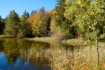a scenic view of lake Mittersee near lake Ober See and lake Alatsee on a fine autmn day in Bad Faulenbach (Fuessen, Bavaria in Germany)	