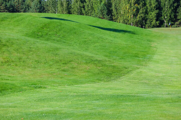 Green grass on a golf course, lens flare on sun set evening time