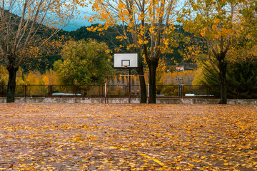 Schoolyard with the ground covered in leaves and a basket on a rainy fall or winter day.