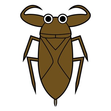 タガメ
