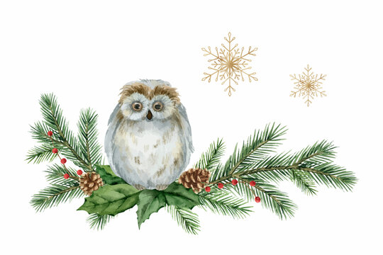 Watercolor vector Christmas card with an owl, fir branches and golden snowflakes.