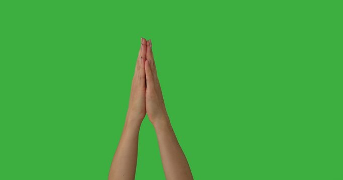 Woman hands joined in prayer position over green background