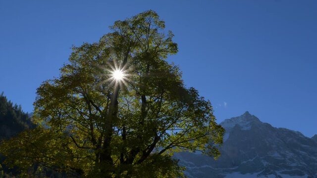 Gro&szlig;er Ahornboden, Karwendelgebirge, Tirol, &Ouml;sterreich, Europa