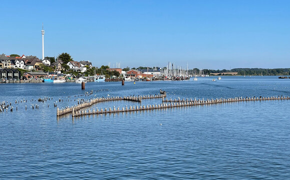 Herring fence