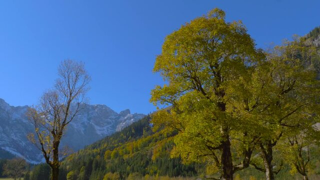 Gro&szlig;er Ahornboden, Karwendelgebirge, Tirol, &Ouml;sterreich, Europa
