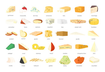 Collection of types of cheeses in a realistic style. - obrazy, fototapety, plakaty