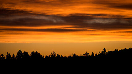 Wald im Sonnenaufgang
