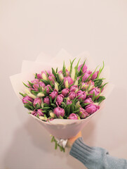 Woman holding big beautiful blossoming mono bouquet of fresh purple tulips flowers. A bouquet of flowers, packed in pink paper in the hands of a girl.