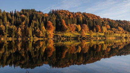 Wald mit Herbstlaub spiegelt im Wasser
