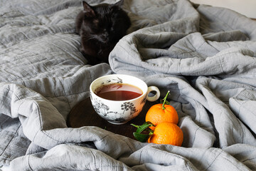 Cozy winter morning at home with cup of aromatic tea, juicy tangerines and cute black cat on the...