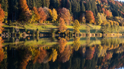 Bäume im Herbst spiegeln im Wasser