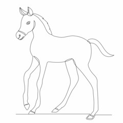 sketch foal line drawing, vector