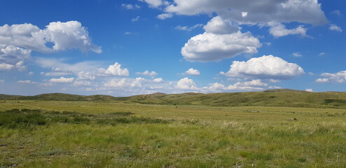 Fototapeta premium steppes, meadows of Kazakhstan