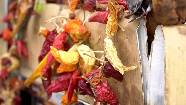 Dried red and orange peppers hanging beside the wall. Dried hanging chili red and green peppers and other vegetable spices selling on the market.